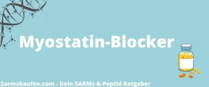 Titelgrafik zum Ratgeber Myostatin Blocker.